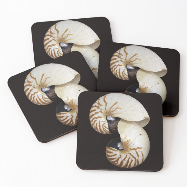 Item preview, Nautilus Shell - photography by Avril Thomas - Adelaide / South Australia Artist designed and sold by AvrilThomasart.