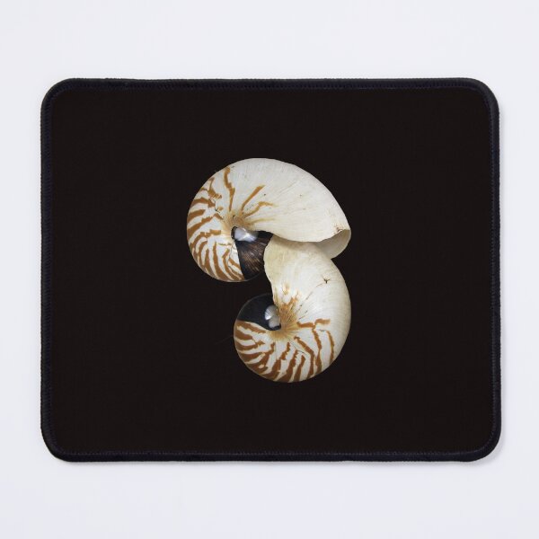 Item preview, Nautilus Shell - photography by Avril Thomas - Adelaide / South Australia Artist designed and sold by AvrilThomasart.