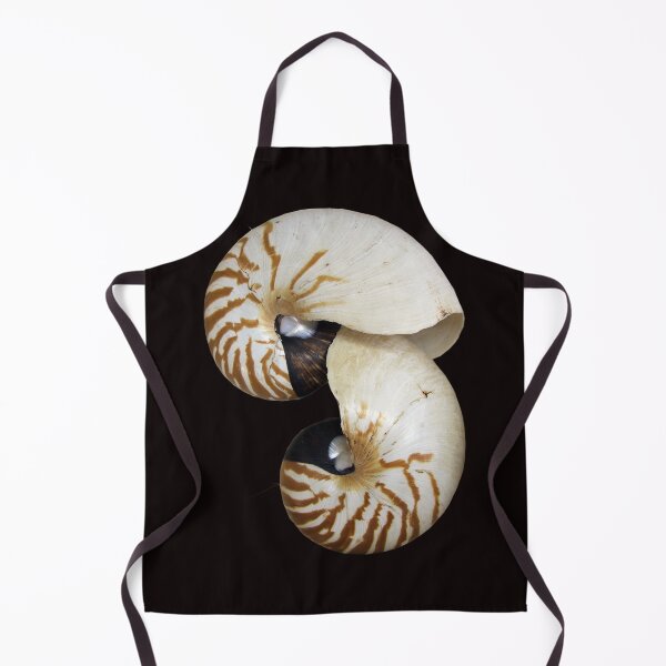Item preview, Nautilus Shell - photography by Avril Thomas - Adelaide / South Australia Artist designed and sold by AvrilThomasart.