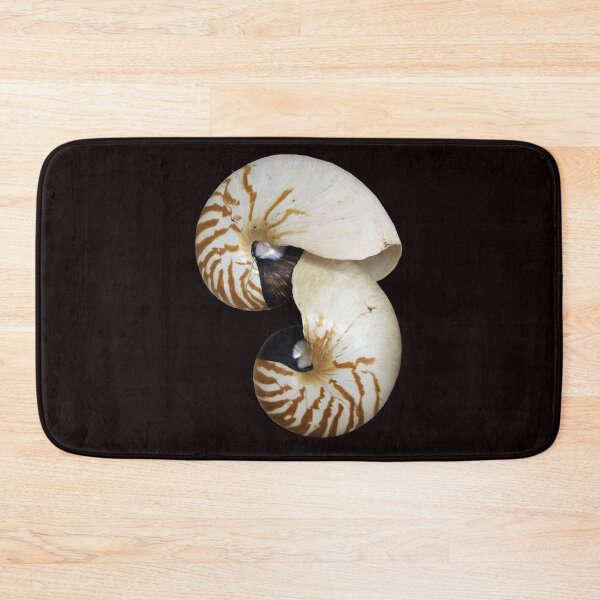 Item preview, Nautilus Shell - photography by Avril Thomas - Adelaide / South Australia Artist designed and sold by AvrilThomasart.