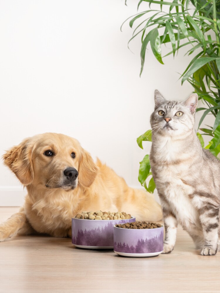 Alternate view of Excuse Me, I'm Lost // Laid Back Edit Pet Bowl