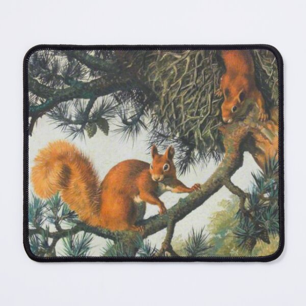 Item preview, Curious Squirrels designed and sold by iamdesigns14.