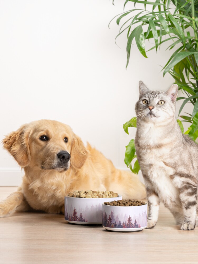 Alternate view of The Ridge Pet Bowl
