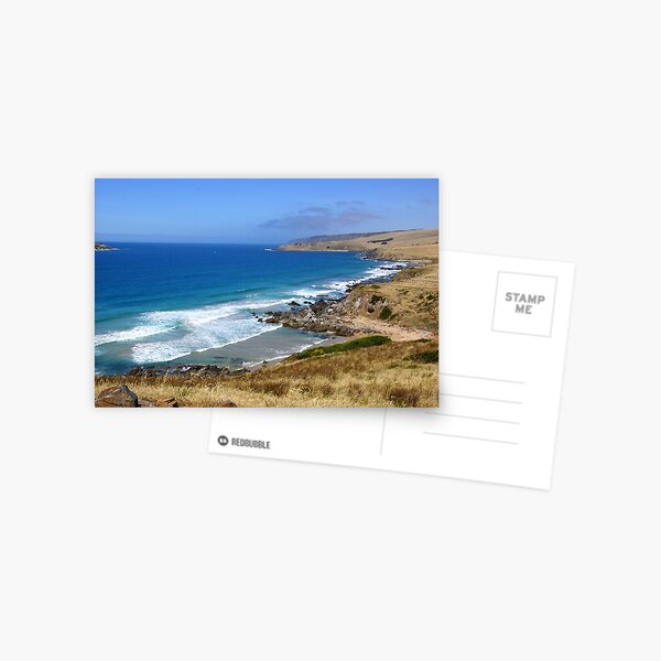 Petrel Cove - South Australia by Avril Thomas Postcard