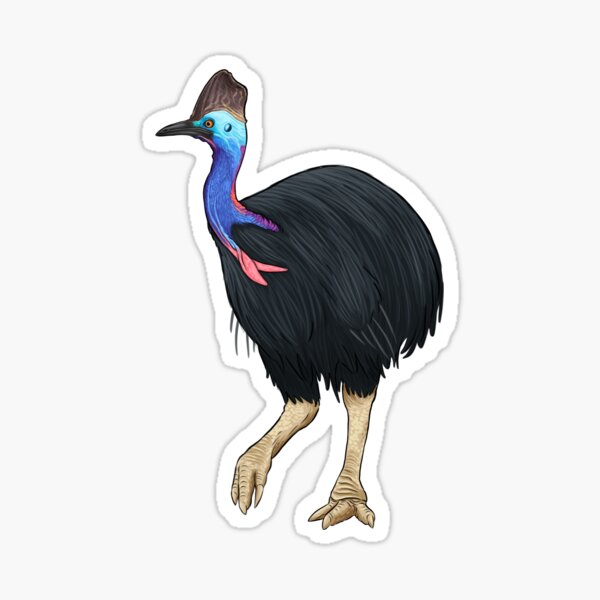 Item preview, Cassowary  designed and sold by VulpiSketch.