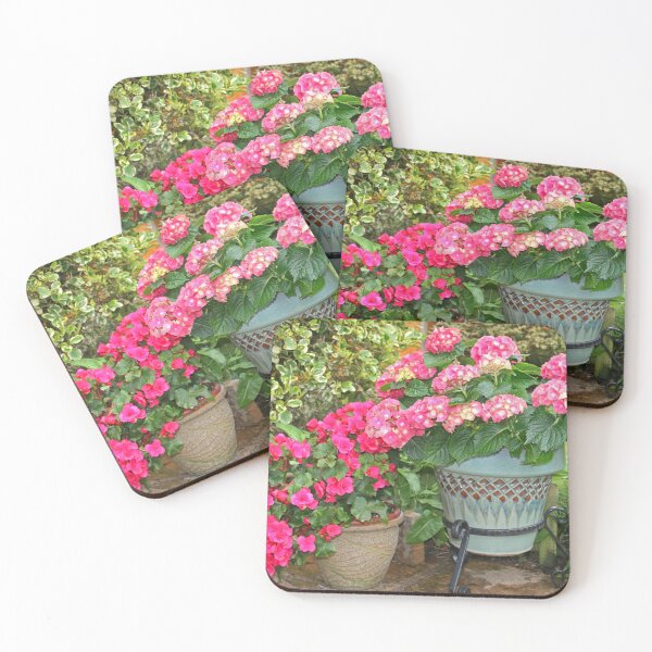Aperçu de l'œuvre Plantes de patio créée et vendue par RedHillDigital.