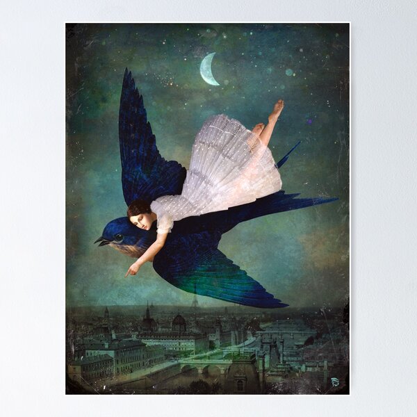 fly me to paris Poster