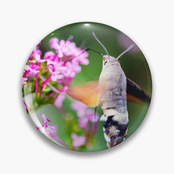 Item preview, Hummingbird Hawk-moth butterfly sphinx insect flying on valerian pink flowers designed and sold by Grégory DUBUS.