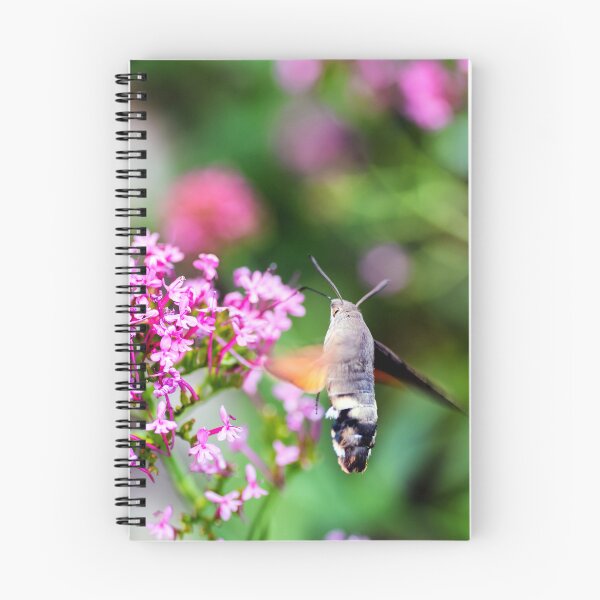 Item preview, Hummingbird Hawk-moth butterfly sphinx insect flying on valerian pink flowers designed and sold by Grégory DUBUS.