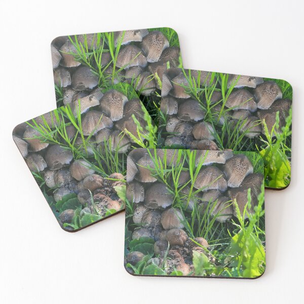 Item preview, Mushrooms  designed and sold by Pontom46.