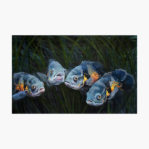 Oscars - Oil Painting by Avril Thomas - Adelaide Artist Photographic Print