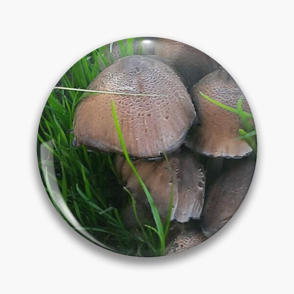 Item preview, Mushrooms 2 designed and sold by Pontom46.