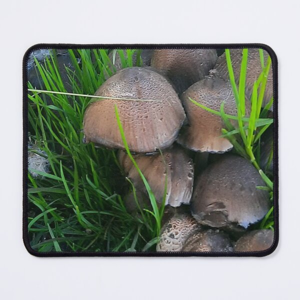 Item preview, Mushrooms 2 designed and sold by Pontom46.