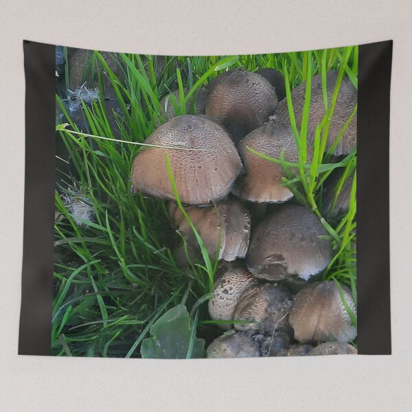 Item preview, Mushrooms 2 designed and sold by Pontom46.