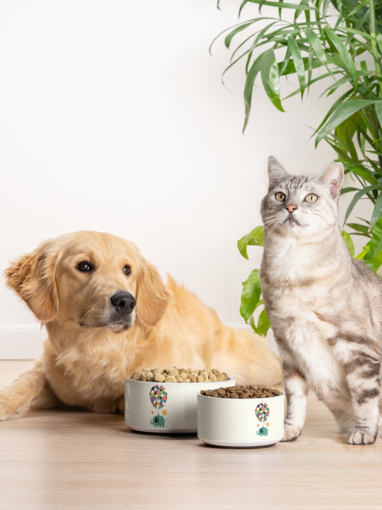 Alternate view of Fly High And Dream Big Pet Bowl