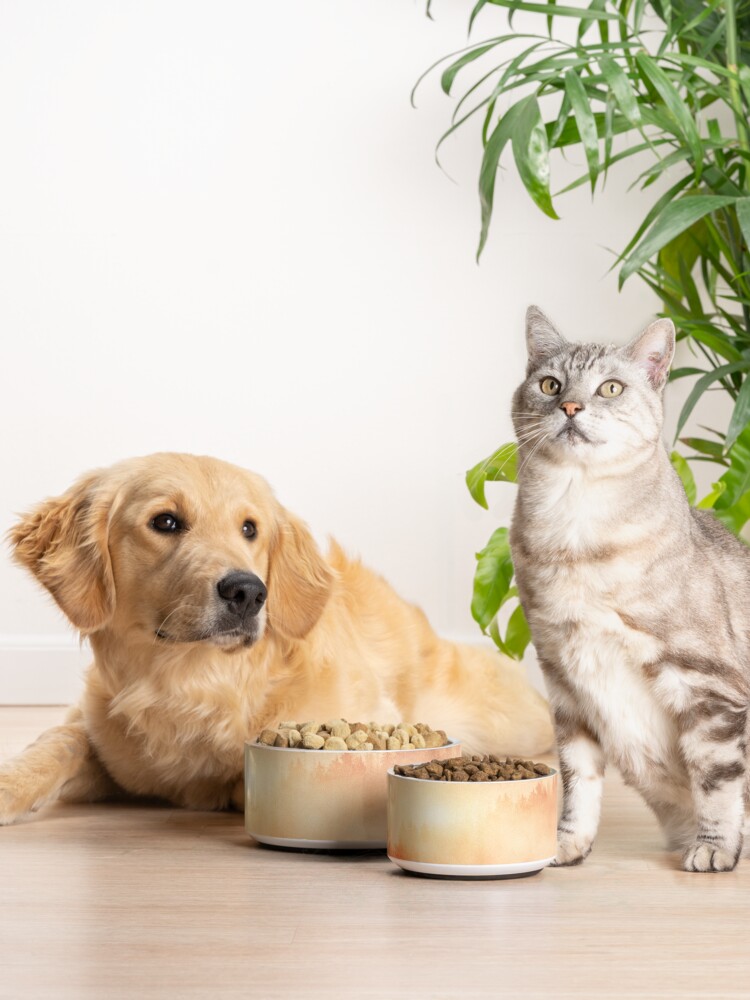 Alternate view of In My Other World Pet Bowl