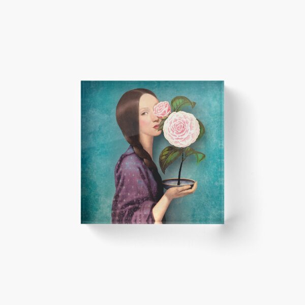 Mayflower Acrylic Block