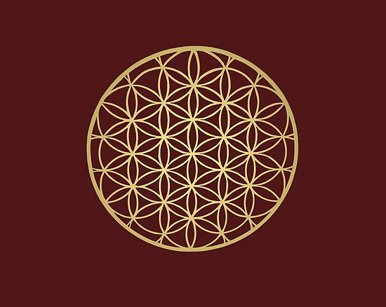 Como Dibujar Un Mandala 5 Diseño Flor De La Vida O Flower Of Dibujo De Mandala Flor De Vida Para Colorear Dibujosnet