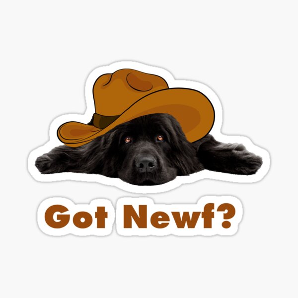 Got Newf? Sticker