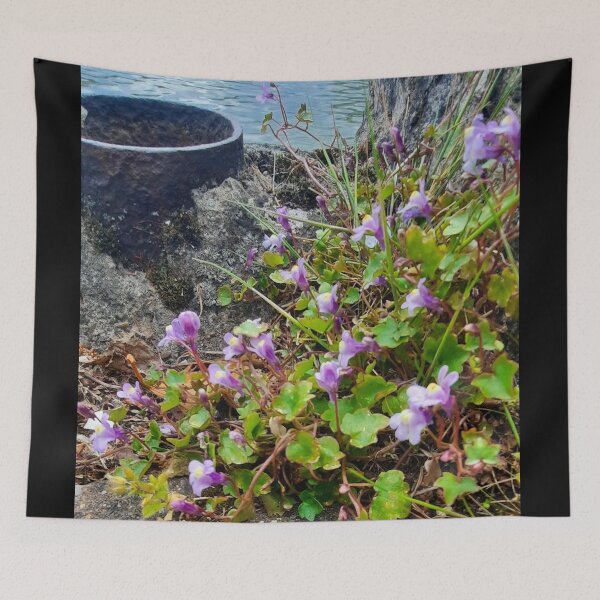 Item preview, Pink coast designed and sold by Pontom46.