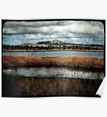 The Birdwatching Hut - Dangars Lagoon, Northern Tablelands, NSW, Australia Poster