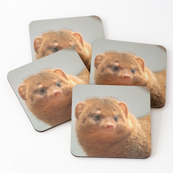 Item preview, Mongoose Stare designed and sold by Fearless-Fox.