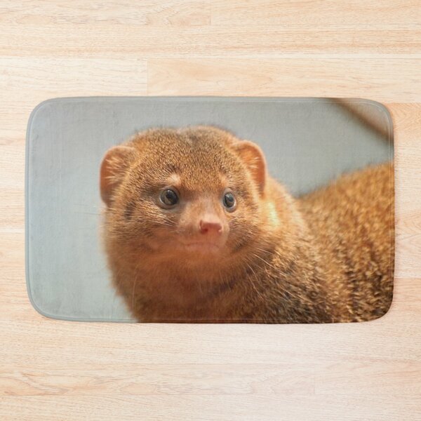 Item preview, Mongoose Stare designed and sold by Fearless-Fox.