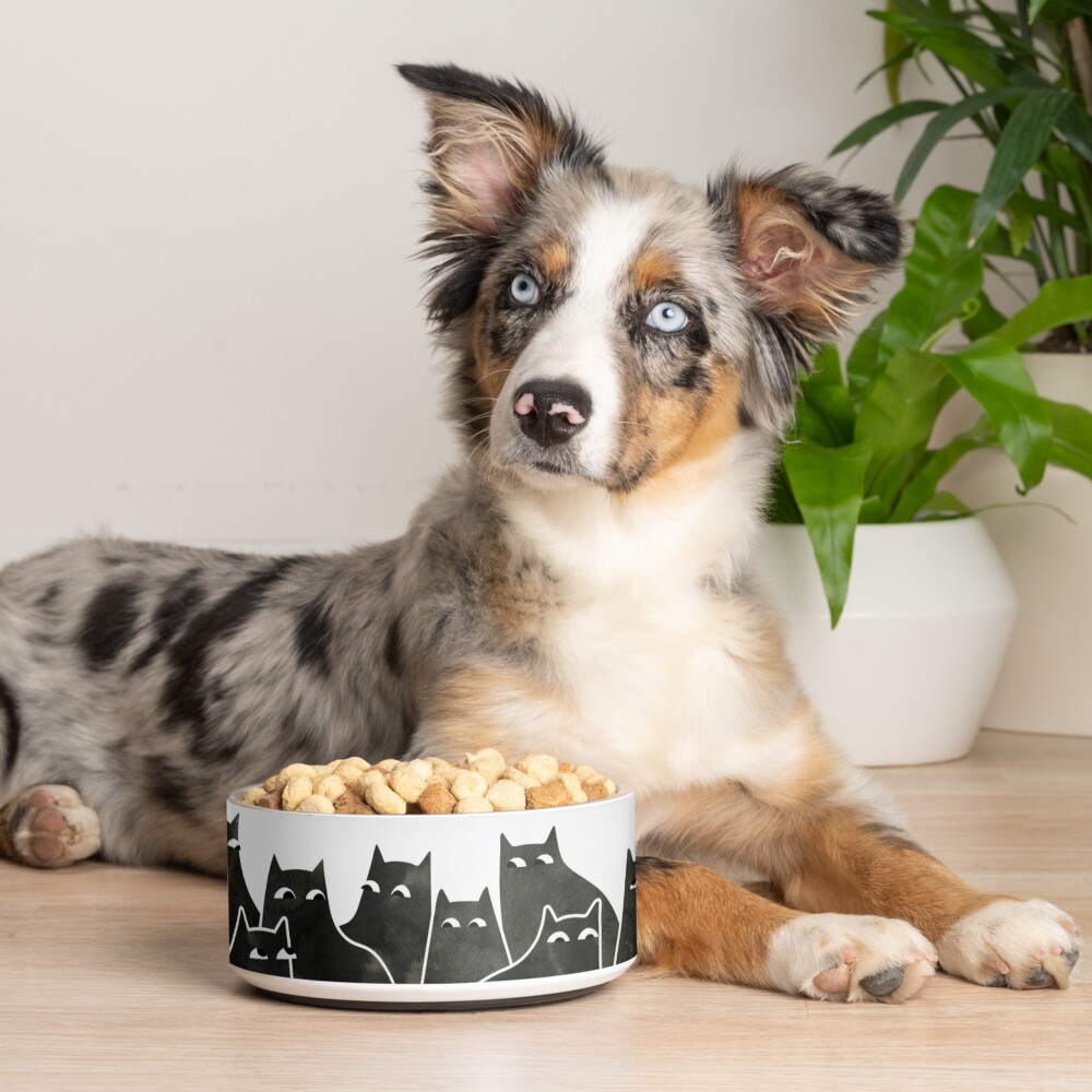 Item preview, Pet Bowl designed and sold by littleclyde.