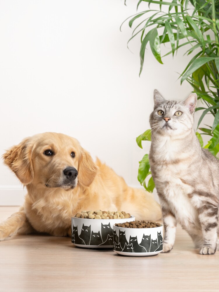 Alternate view of Suspicious Cats Pet Bowl