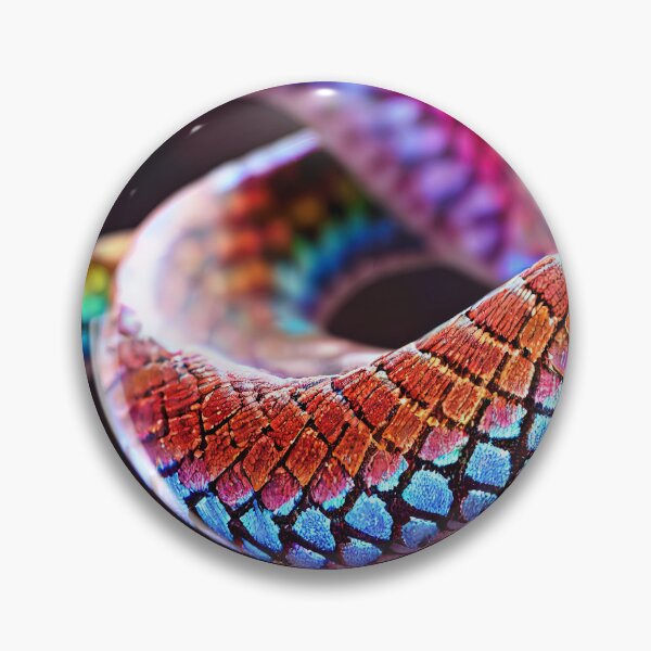 Artikelvorschau, rainbow boa, entworfen und verkauft von Aliveforfun.