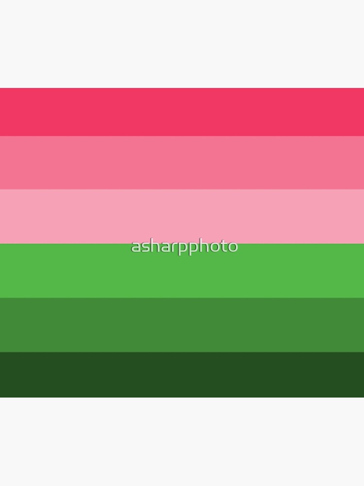 Pink and Green aka 2 tone color block Sticker for Sale by asharpphoto