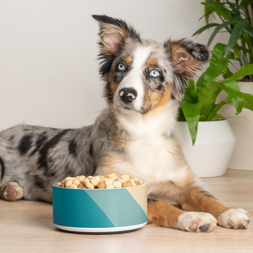 Item preview, Pet Bowl designed and sold by anitabellajantz.