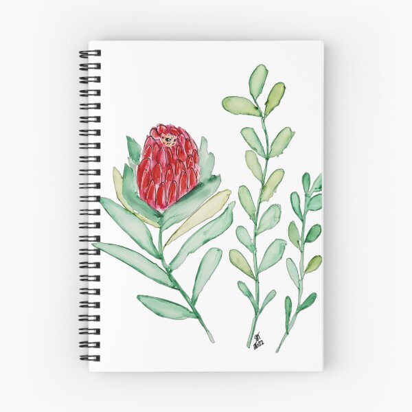 Artikelvorschau, Waratah-Blumen entworfen und verkauft von DaisyMaeInkArt.