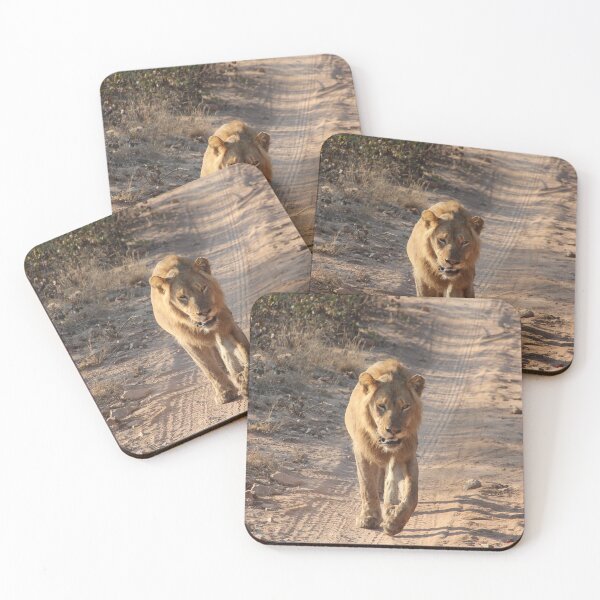 Item preview, Sabi Sands Lion Sands Lion Photo designed and sold by ourphotographs.