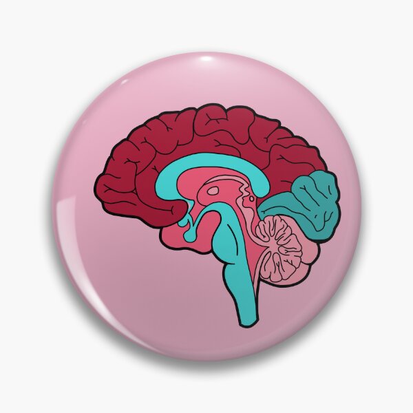 Item preview, Anatomical brain - red and blue colors designed and sold by Preslava Genova.