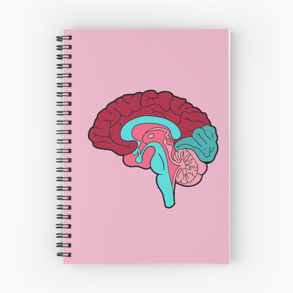 Item preview, Anatomical brain - red and blue colors designed and sold by Preslava Genova.