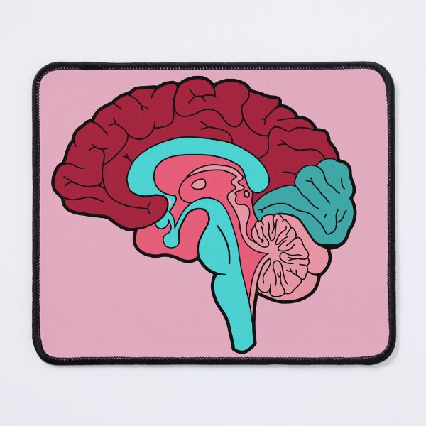 Item preview, Anatomical brain - red and blue colors designed and sold by Preslava Genova.