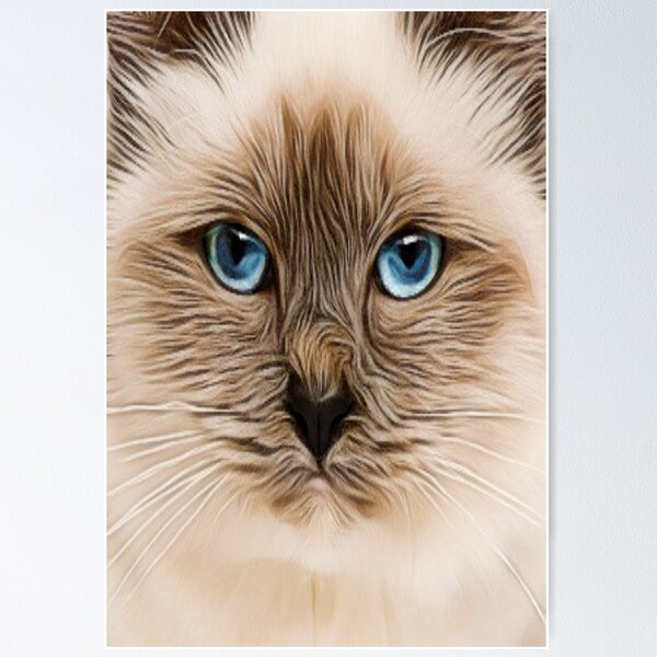 A Cat With Blue Eyes - Digital Art Poster
