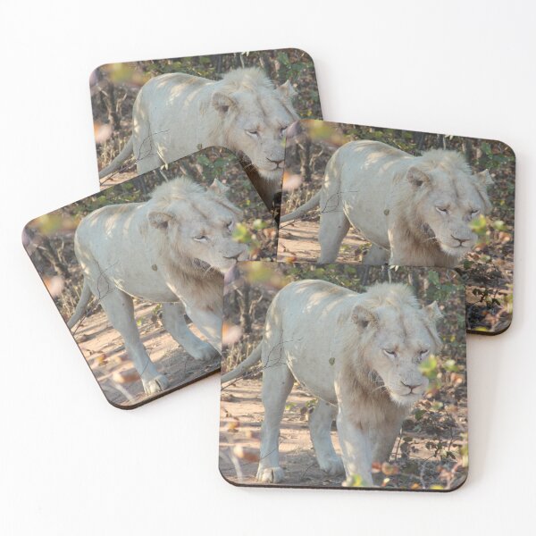 Item preview, White Lion Sabi Sands Lion Sands designed and sold by ourphotographs.