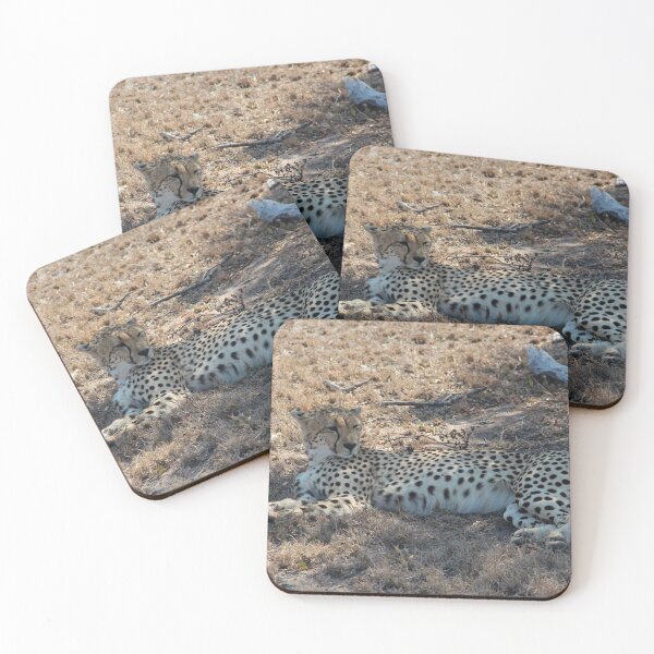 Item preview, Cheetah Kruger National Park  designed and sold by ourphotographs.