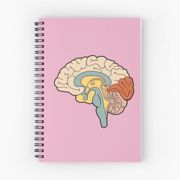 Item preview, Anatomical brain - vintage colors designed and sold by Preslava Genova.