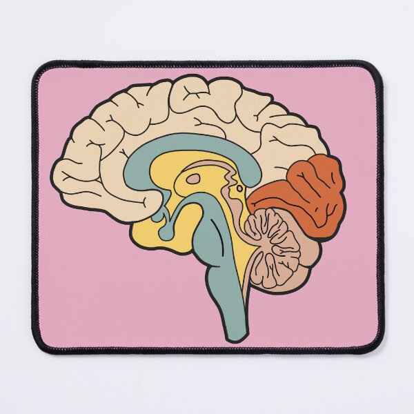 Item preview, Anatomical brain - vintage colors designed and sold by Preslava Genova.