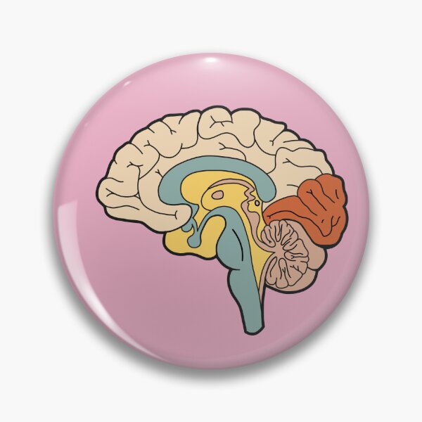 Item preview, Anatomical brain - vintage colors designed and sold by Preslava Genova.