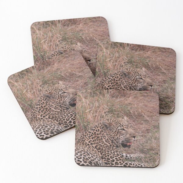 Item preview, Leopard Face Safari Photograph  designed and sold by ourphotographs.