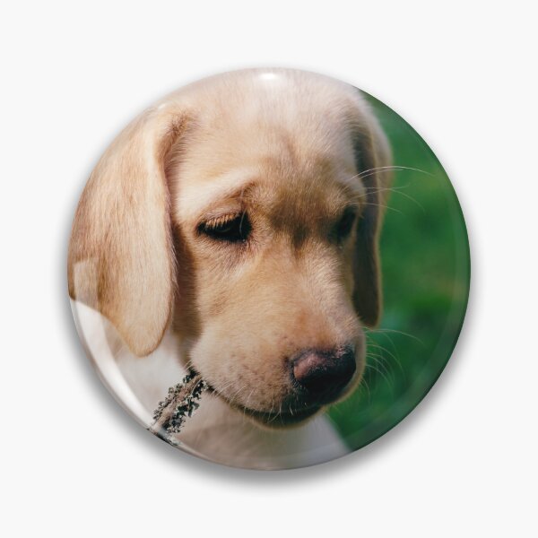 Item preview, Cute retriever puppy designed and sold by riku05830.