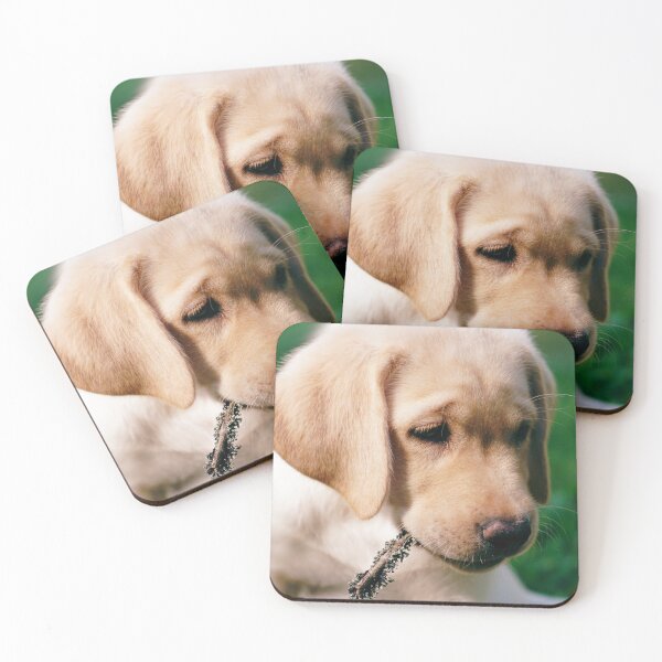 Item preview, Cute retriever puppy designed and sold by riku05830.