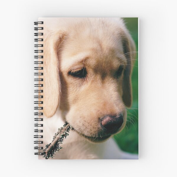 Item preview, Cute retriever puppy designed and sold by riku05830.