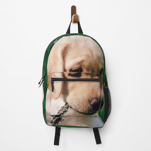 Item preview, Cute retriever puppy designed and sold by riku05830.