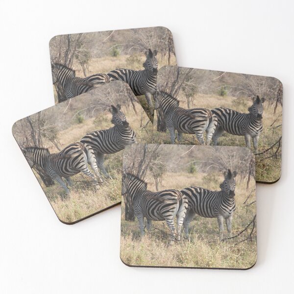 Item preview, Zebra Kruger National Park designed and sold by ourphotographs.