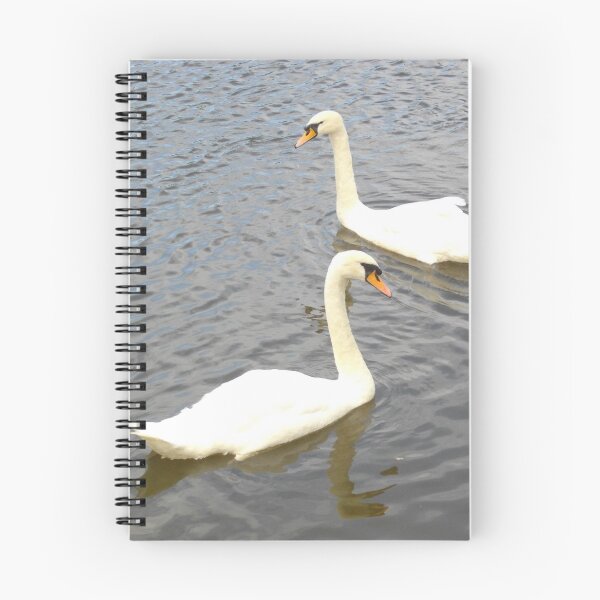Item preview, Pair of Swans designed and sold by EimearMac.